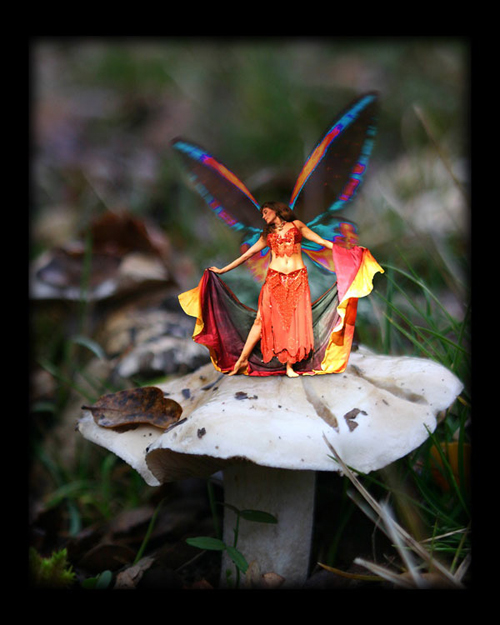 Daleela belly dancing in her Fairy Wings